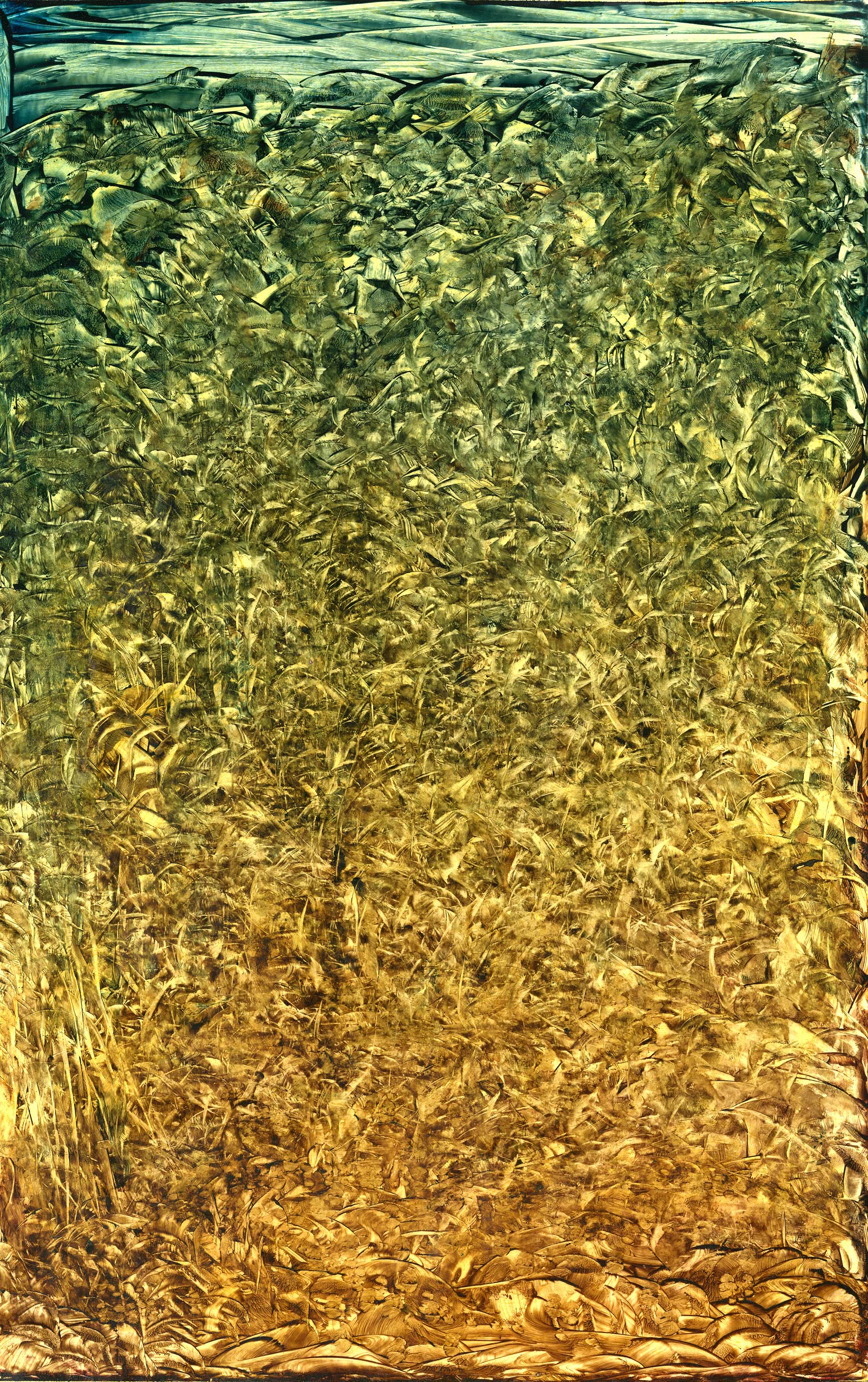 Paintings Exhibitions