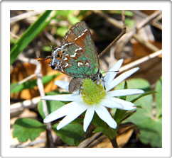 Austin Photography Studio