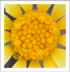 Austin Art Galleries