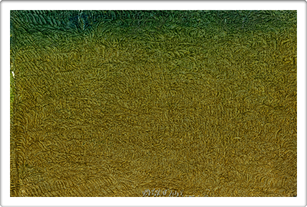 Austin Art Paintings