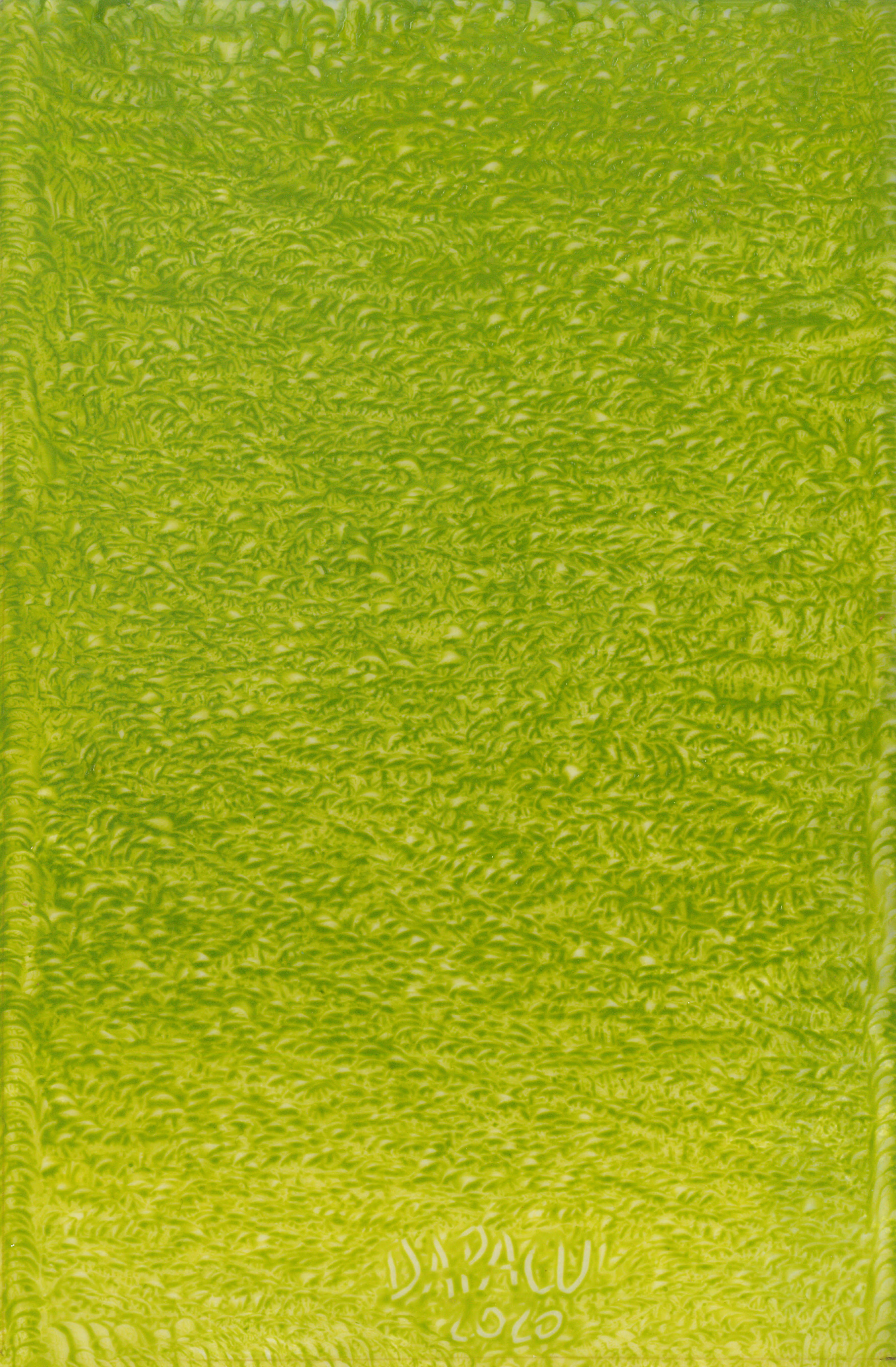 Paintings Exhibitions